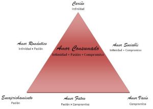 teoria triangular